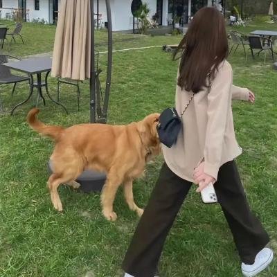 高、低与脆弱之间